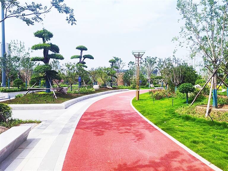 淄博火车站南广场绿化景观工程姿容初现