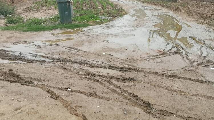 记者调查：泥巴路竟是村里主干道？