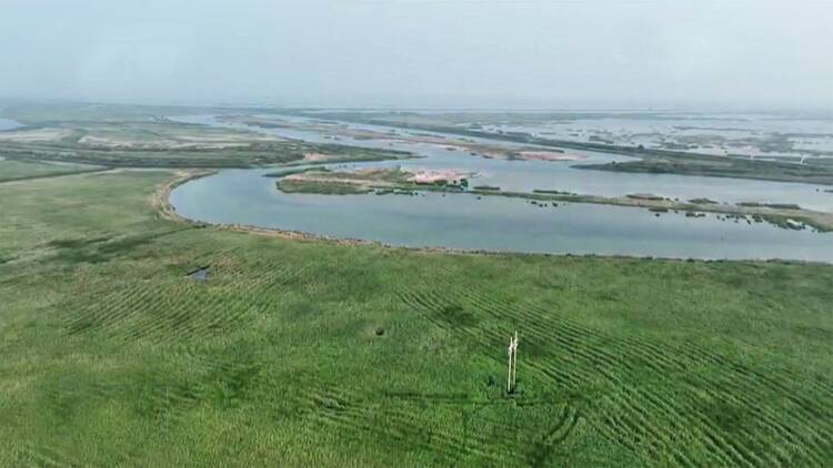 山东向黄河三角洲自然保护区生态补水16649万立方米