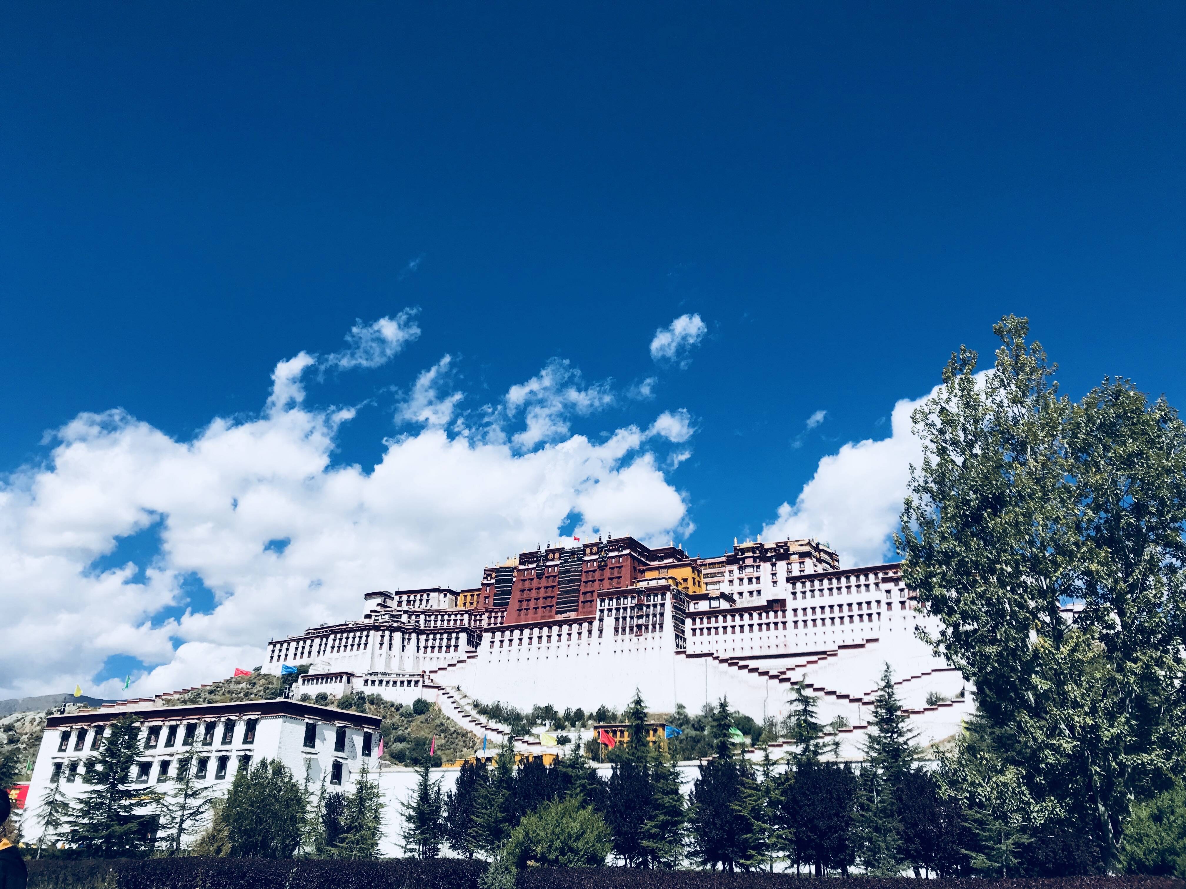 鲁藏空中走廊即将开航 济南国际机场7月18日将开通西藏拉萨客运航线