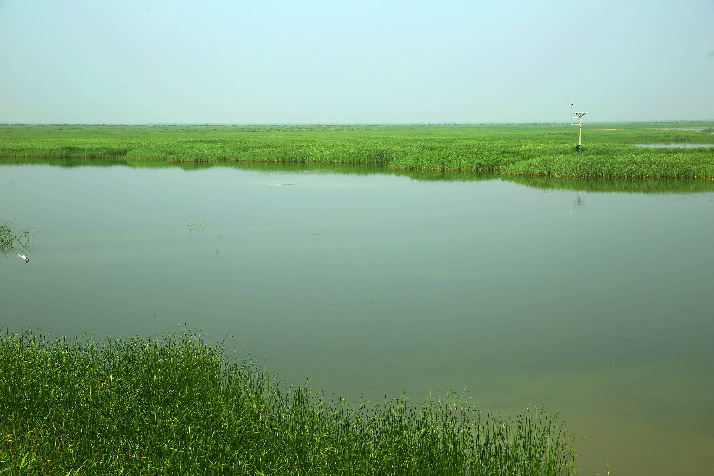黄河三角洲国家级自然保护区-河口区等自然资源将进行所有权首次登记