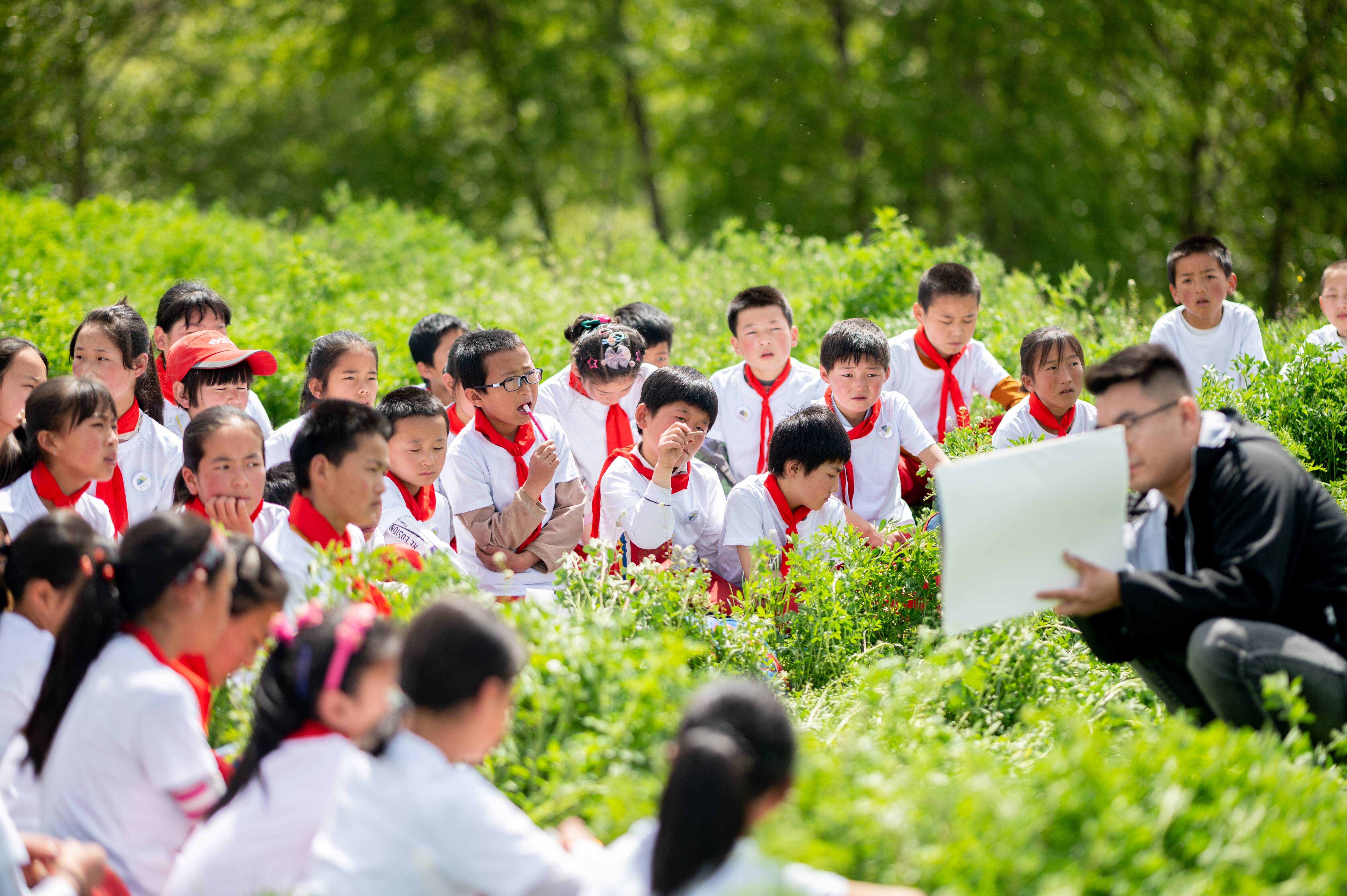 国寿寿险推十项服务提升计划助力少年儿童美育实践