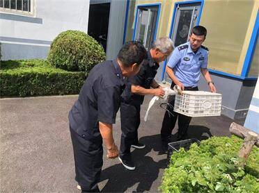 威海：踏查生态警务 及时救助受伤白鹭