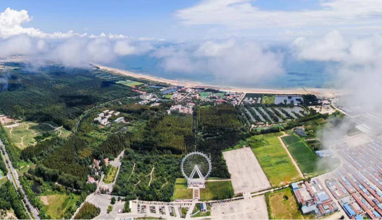 这里是日照丨趁夏日,赴一场山海之约_日照要闻_日照_齐鲁网