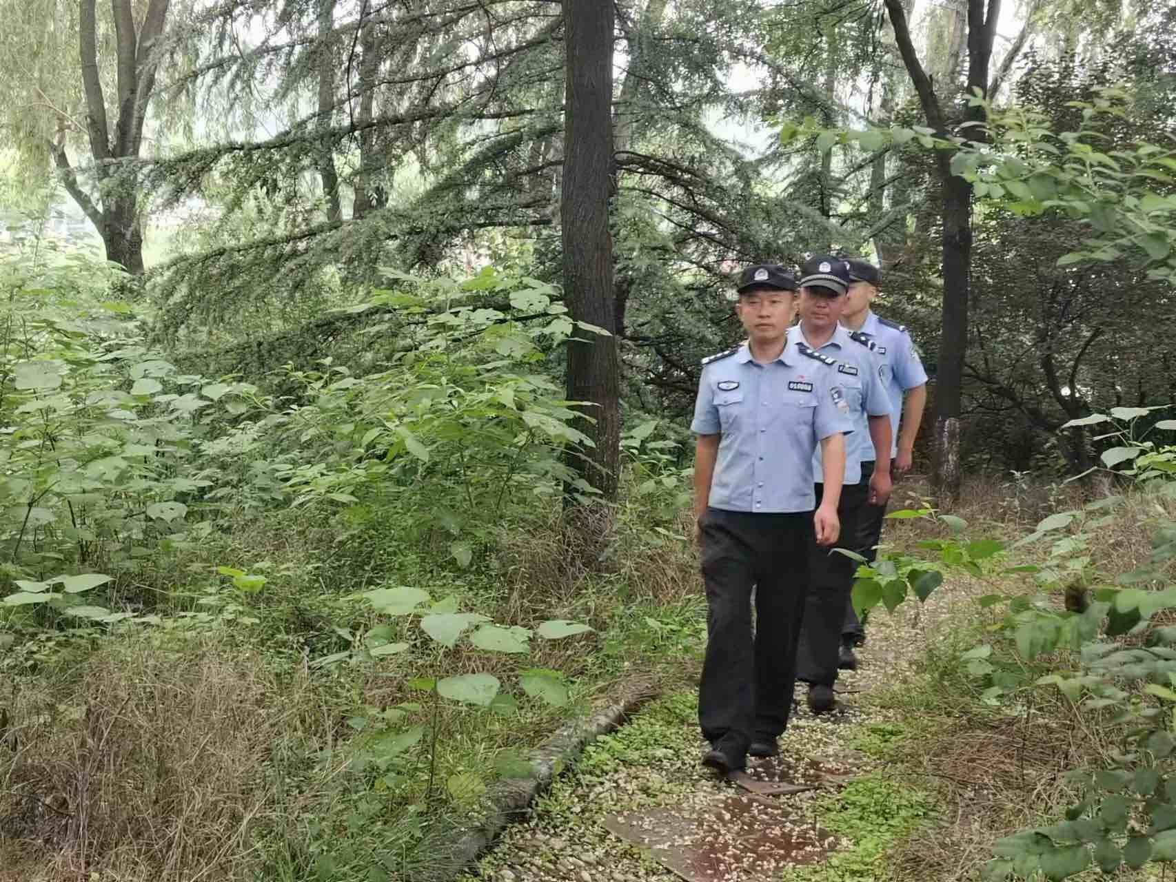 男子砍伐一亩槲树被处罚 济南南山公安破获第一起生态补偿案