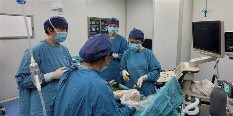 隔着肚皮做手术！青岛妇女儿童医院成功救治下尿道梗阻胎儿