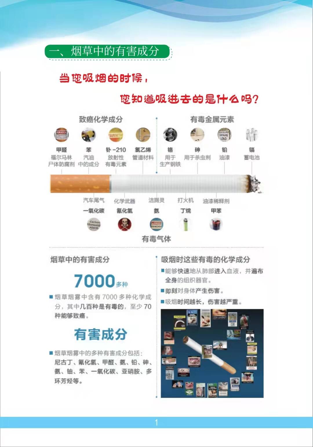 控烟知识宣传手册