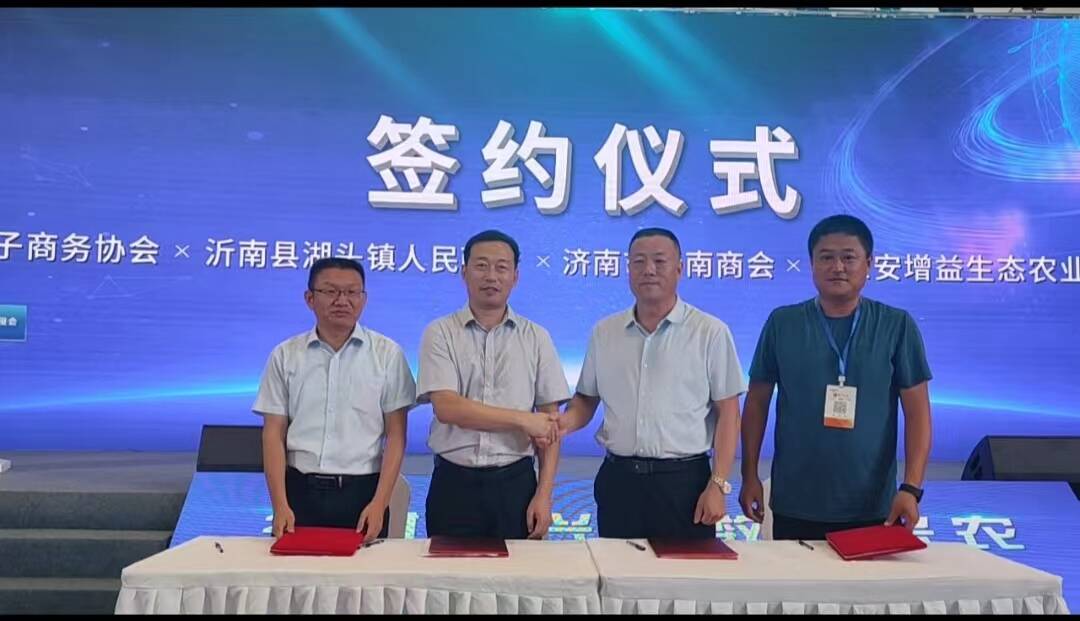 公司注册咨询：构建商业成功的基石