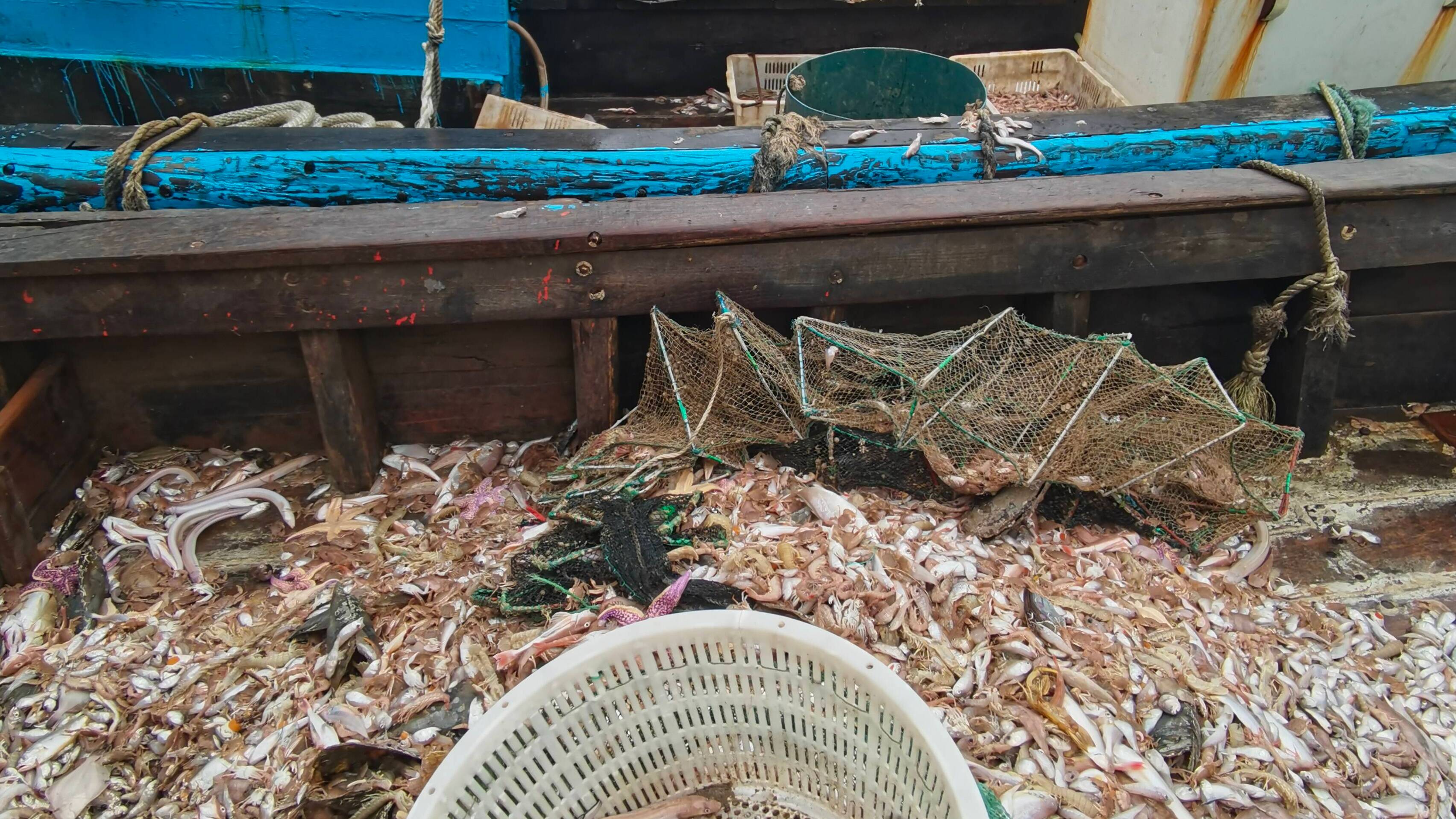 青岛海警局查获一起休渔期使用禁用渔具非法捕捞案 抓获犯罪嫌疑人6人