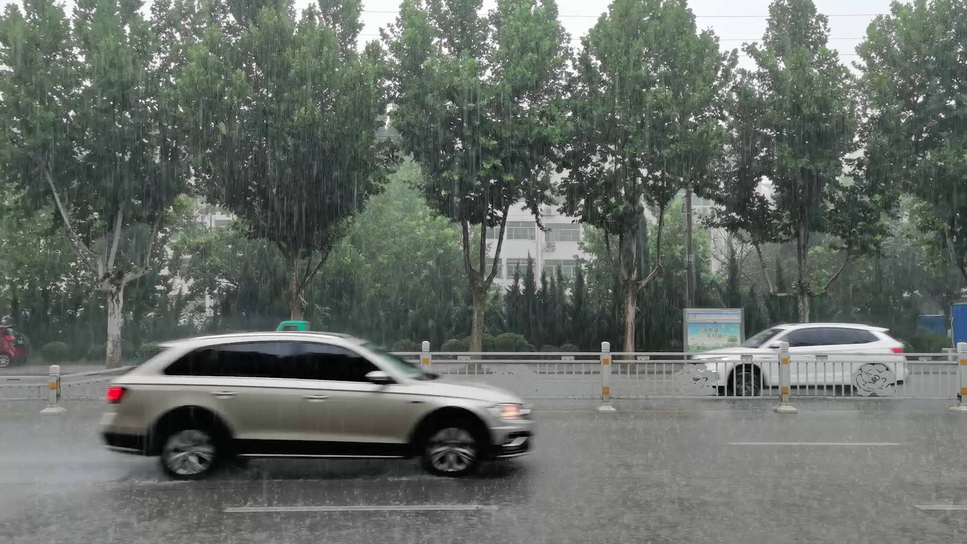 山东9市局部将出现暴雨或大暴雨 潍坊、日照、烟台降雨或引发地质灾害