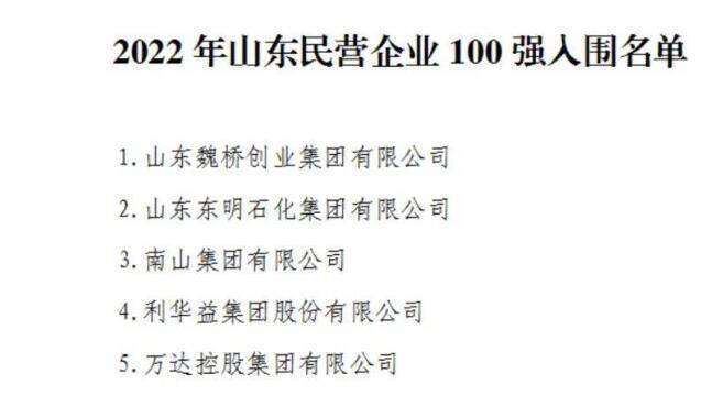 2022年山东民营企业100强入围名单公示
