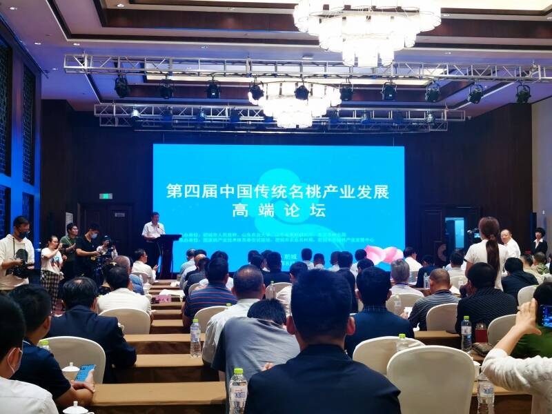肥城举办第四届中国传统名桃产业发展高端研讨会 上演“群桃之冠”大比拼