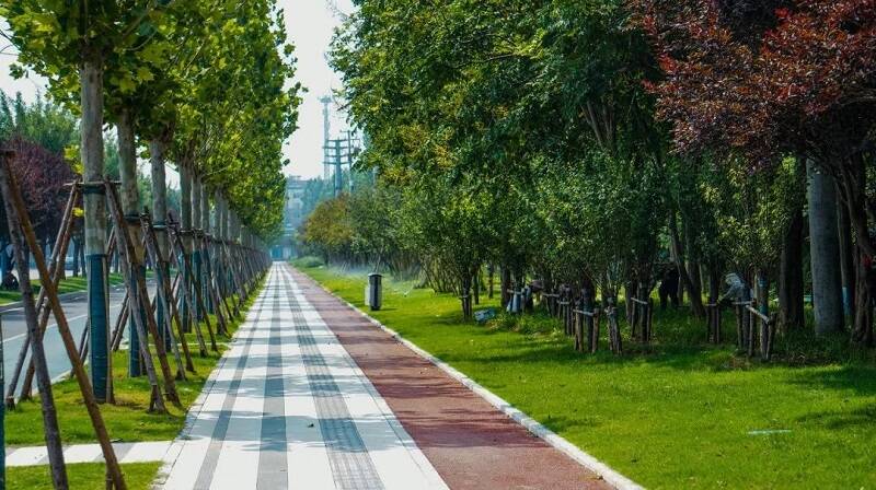 济宁高新区道路绿化提升改造 为市民幸福感增添靓丽色彩