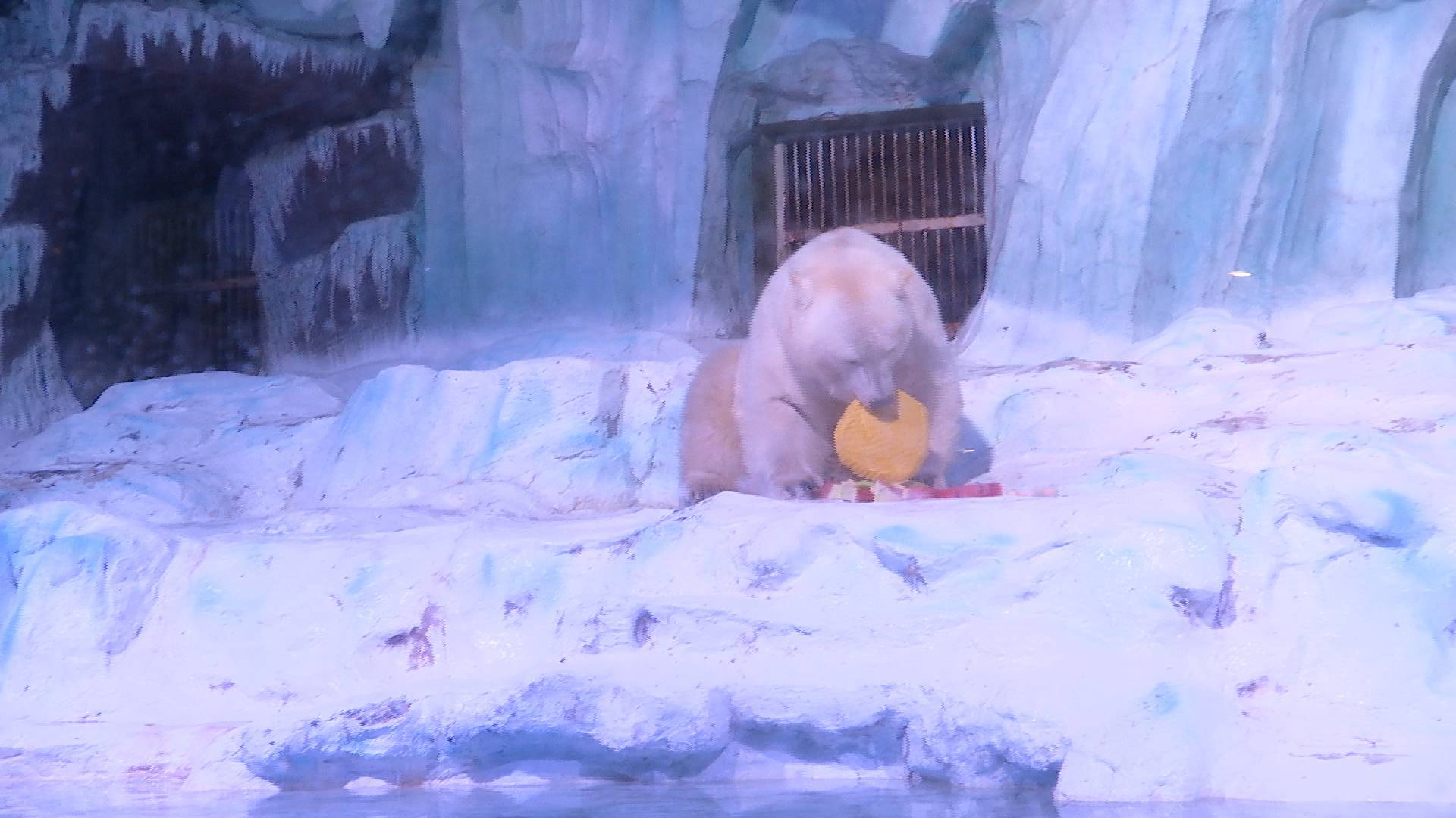 可愛動物吃月餅、嫦娥水下奔月秀……這個中秋青島景區驚喜不斷