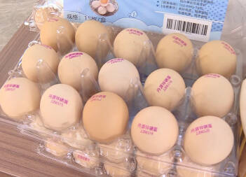 鸡蛋也有“身份证”！平原县：成立蛋鸡专业合作社，小鸡蛋卖出大产业