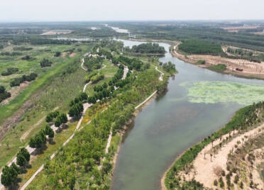 生态兴、产业旺！齐河：黄河流域生态保护与高质量发展 “蹄疾步稳”