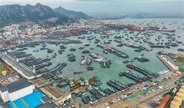 山东荣成：台风“梅花”来袭 千艘渔船回港避风