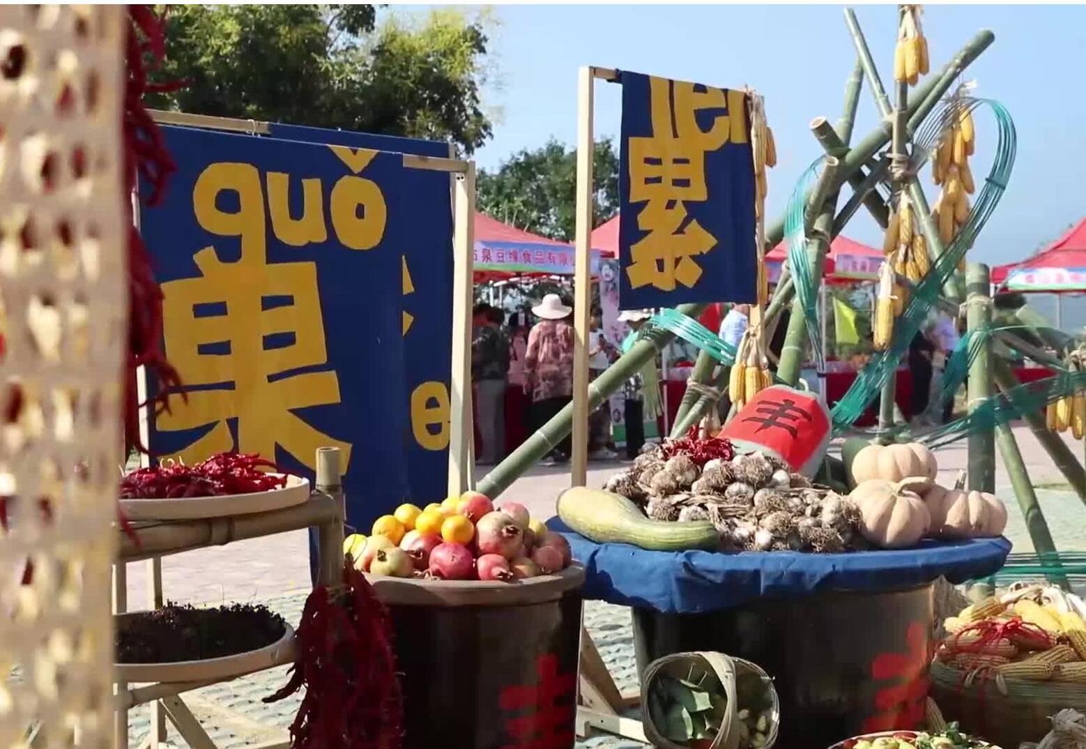 农民丰收节丨秋日的甜，从泰山区亓家滩村一颗猕猴桃开始……