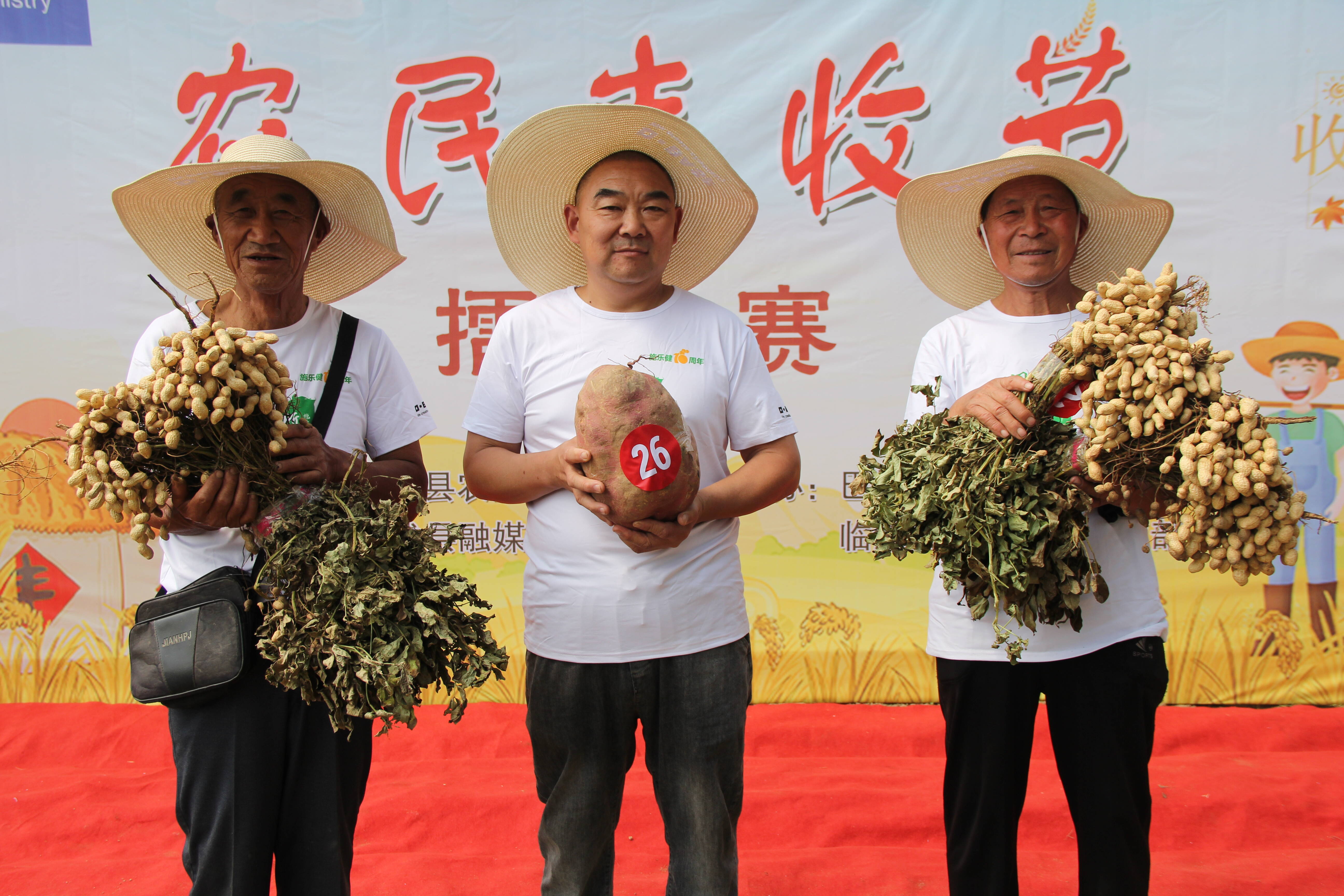 中国农民丰收节 | 临沭：合作社搭台 种植户打擂庆丰收