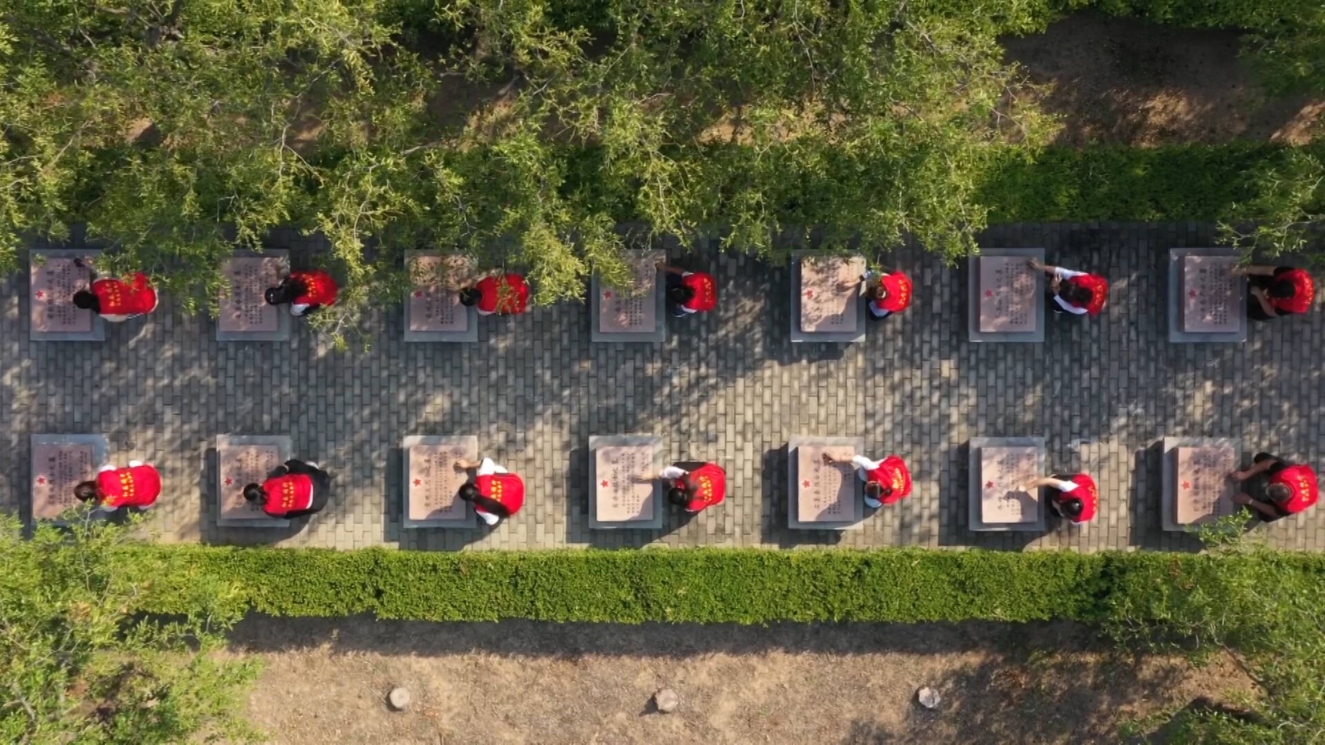 烈士纪念日丨乐陵：青年志愿者集体祭扫烈士墓 缅怀先烈 接续奋斗
