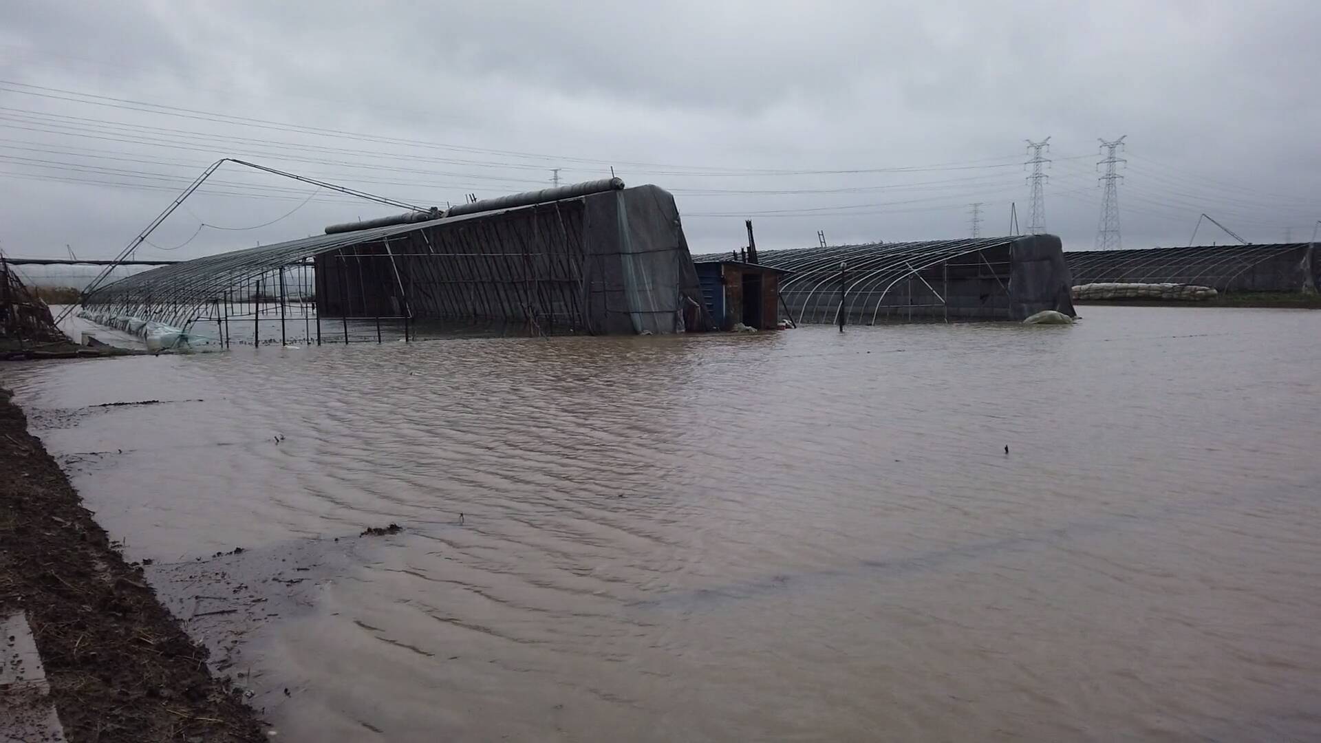 济南：暴雨致200余亩大棚被淹 消防连夜紧急排涝
