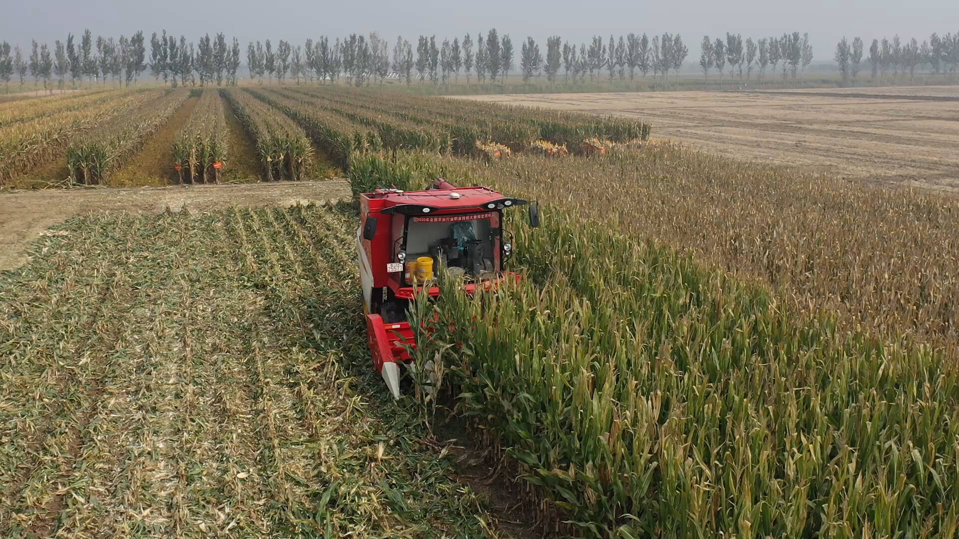 武城：小麦新品种+智能无人驾驶 助力“吨半粮”建设