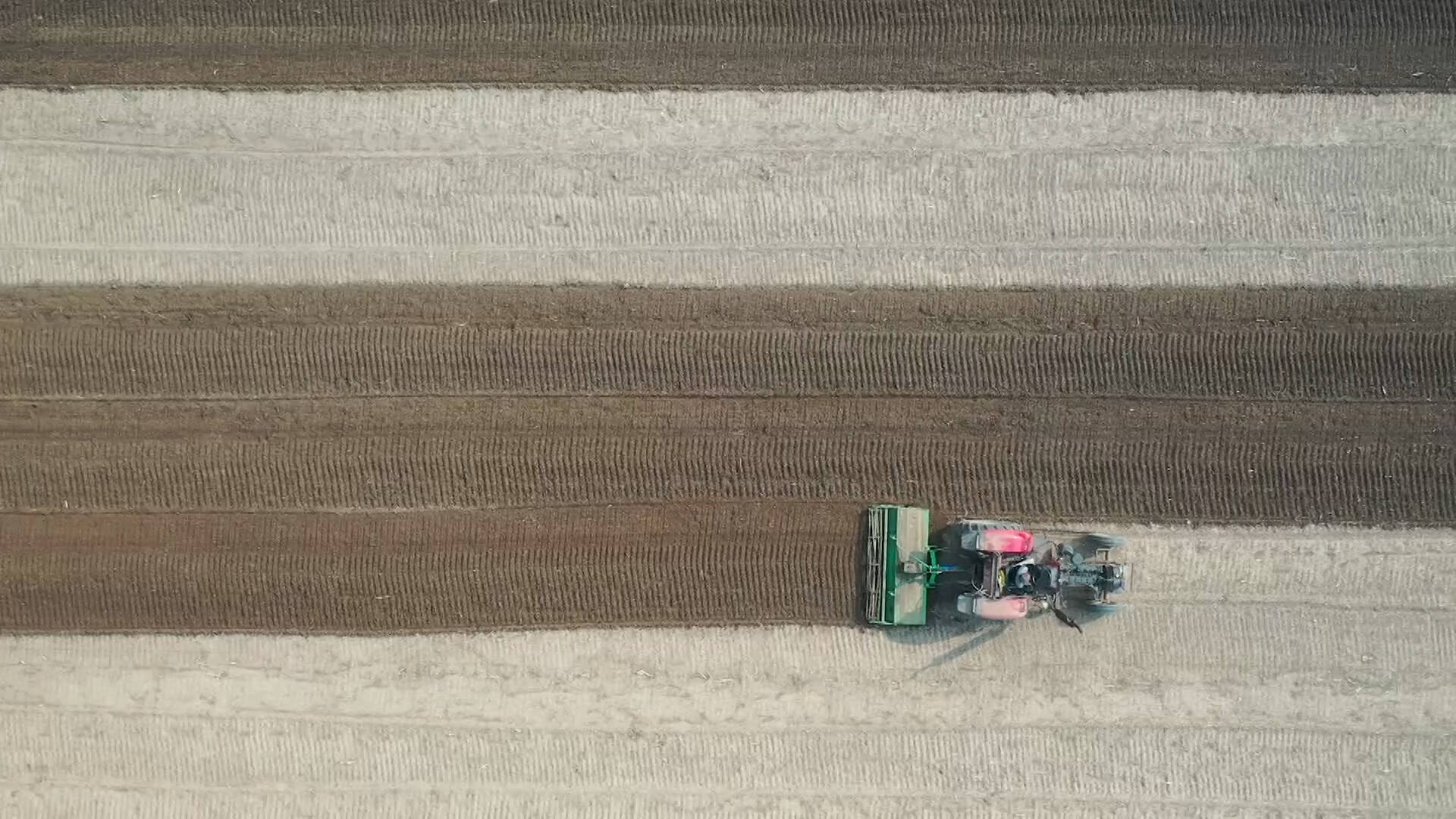 新泰市：三秋生产尽显“科技范” 冬小麦种植有序推进