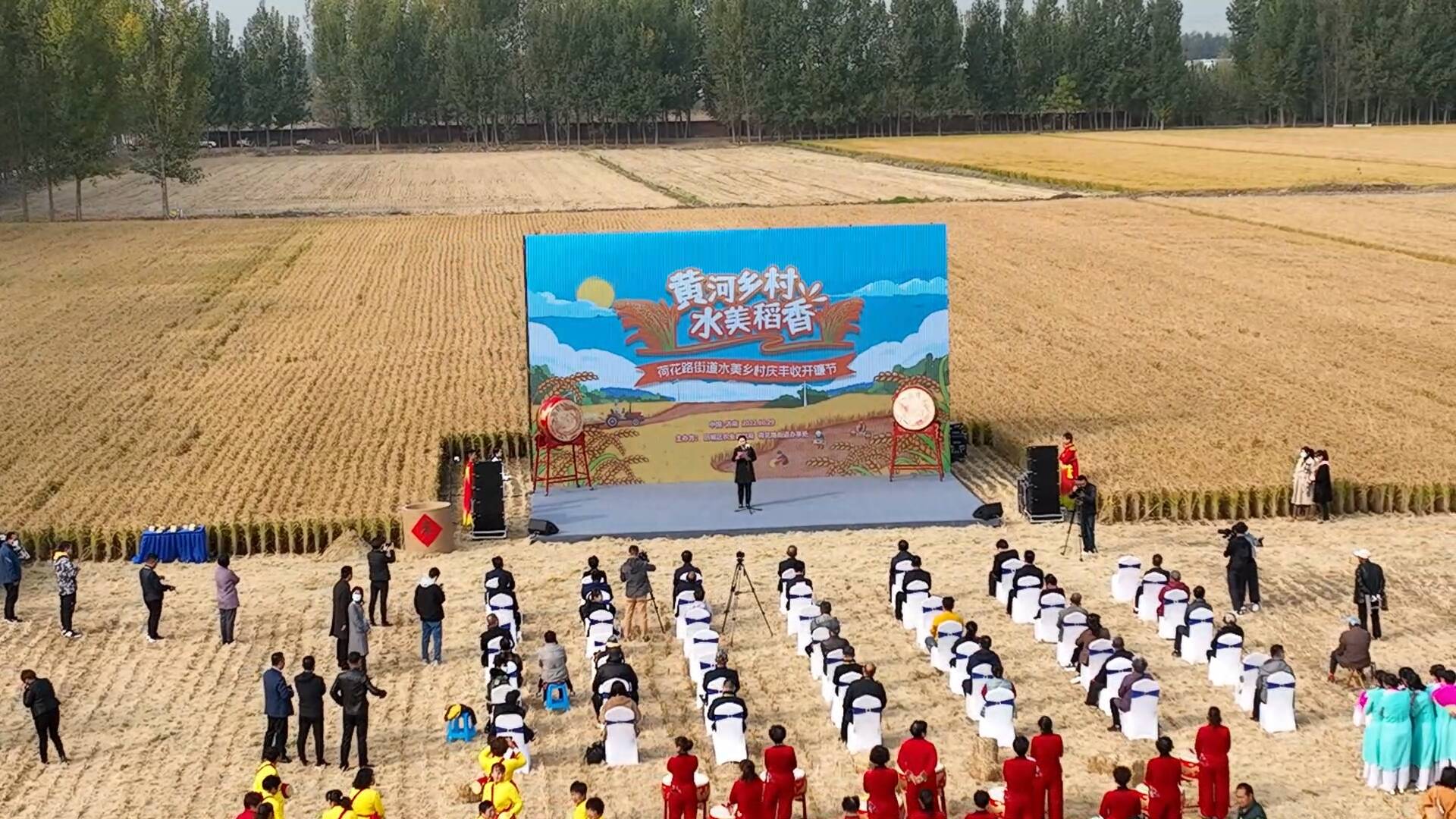 济南历城：黄河岸边千亩水稻开镰收稻