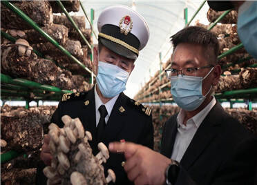 潍坊：“小花菇”闯出“大市场”