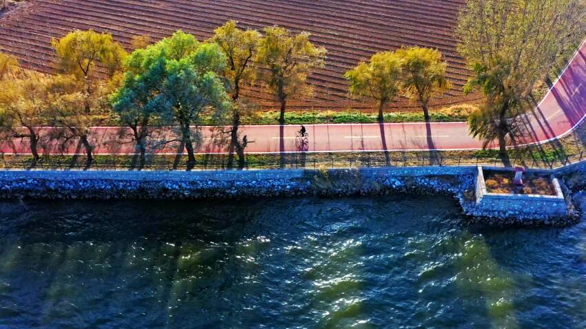 这里的美，静悄悄！潍坊峡山水库环湖公路披上了“秋日盛装”