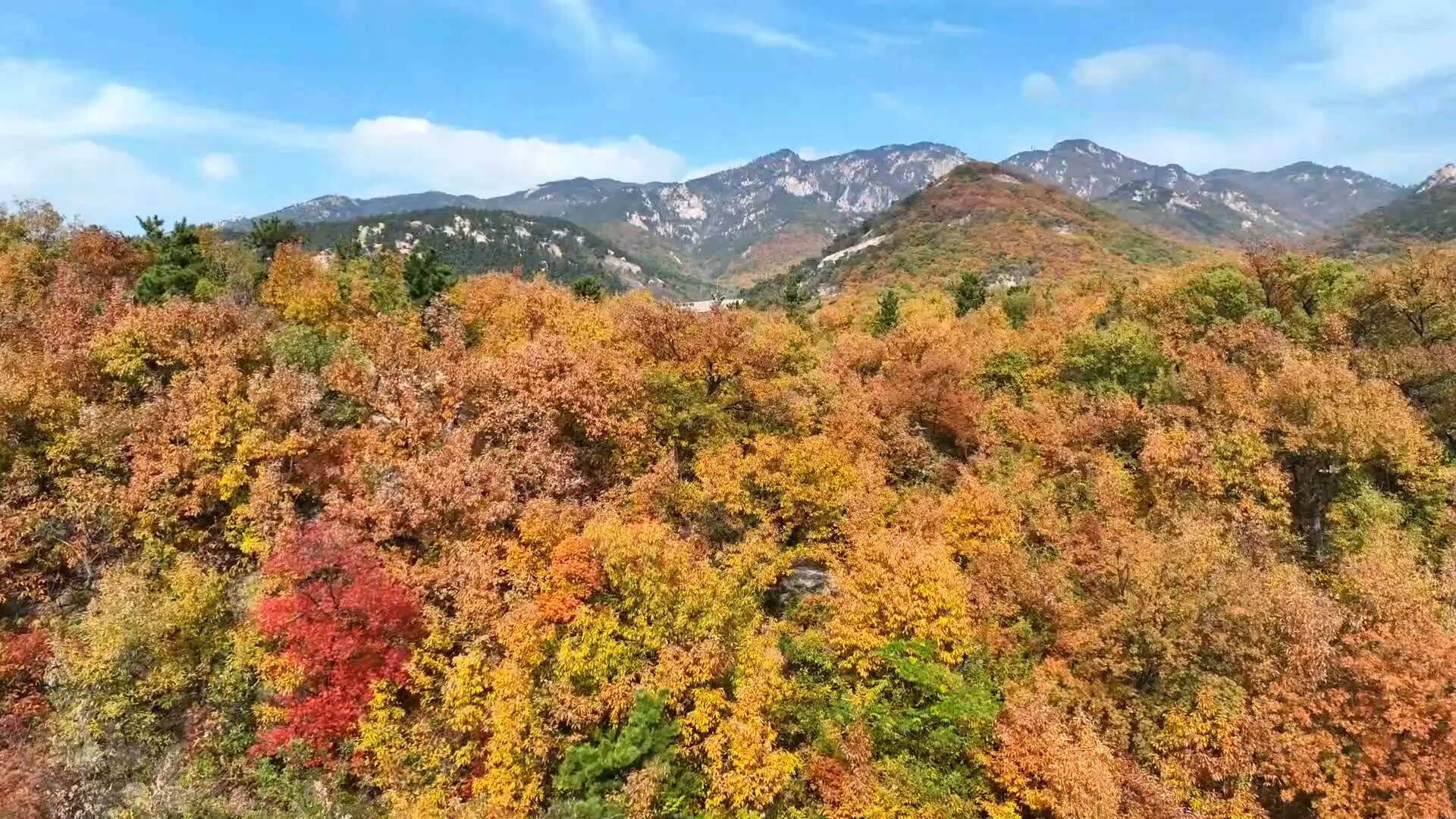 秋日沂蒙山：醉美沂蒙秋色 尽显安静祥和