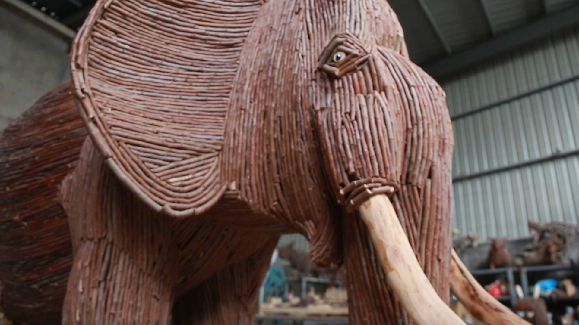 济南小伙用2万多根树枝做大象雕塑 梦想开“动物博物馆”