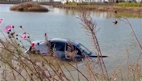轿车意外冲入湖中，东营一医生奋不顾身下水救人