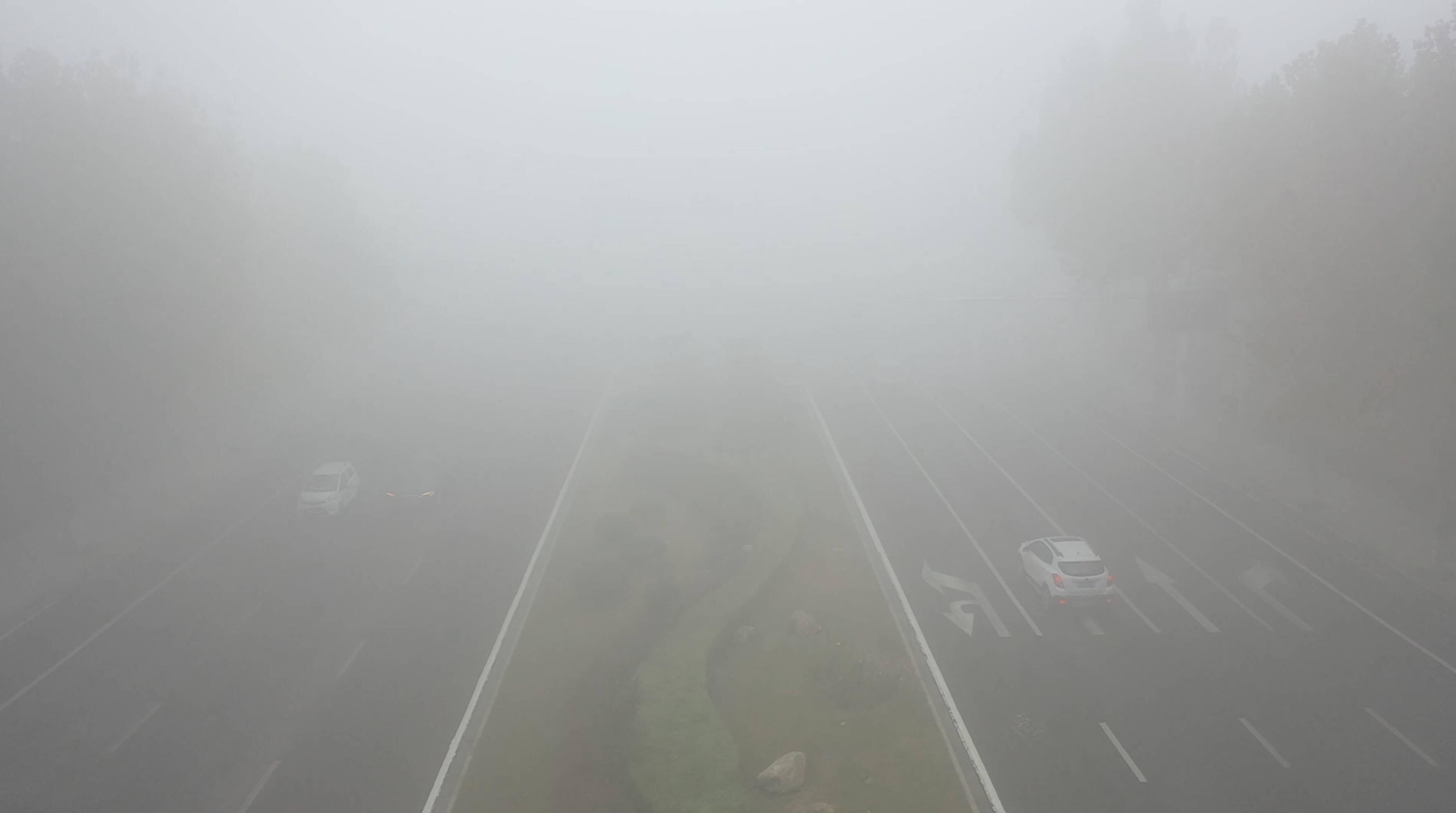 大雾黄色预警！山东8市今夜明晨将有浓雾 局部能见度不足50米