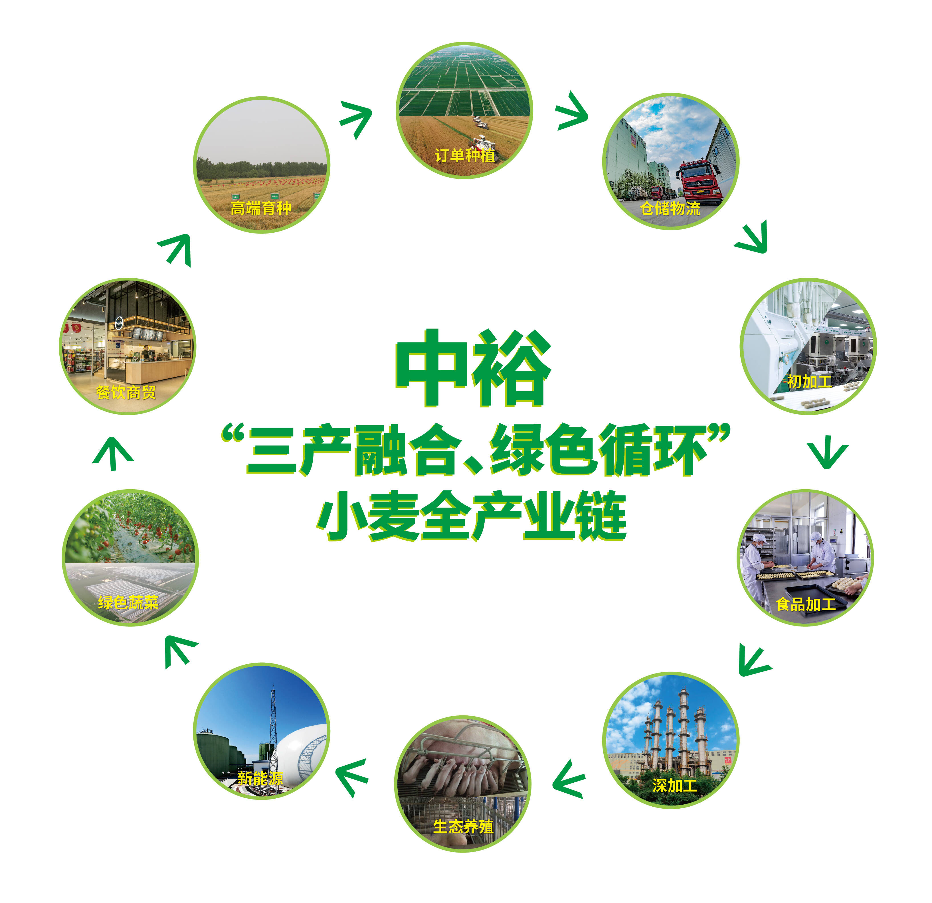将1粒小麦变成500多种产品，滨州这家企业建成小麦绿色循环全产业链