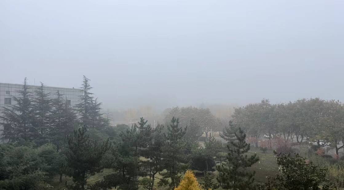 闪电气象吧｜枣庄发布大雾黄色预警 局地能见度可能不足200米