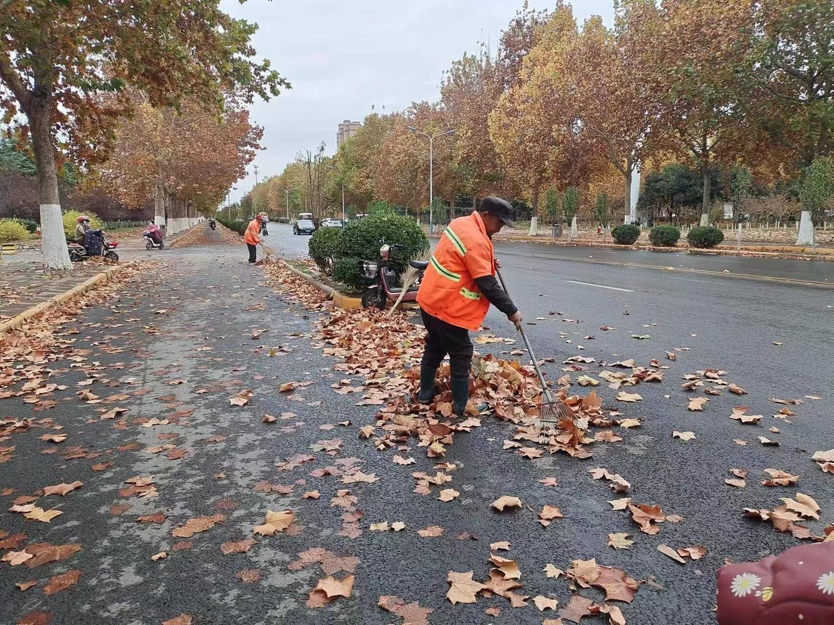 秋天环卫工人图片图片