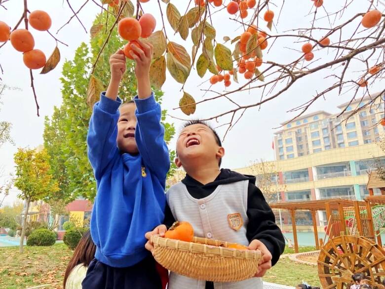 树上挂“灯笼”，落叶铺满地！潍坊市坊子区“萌娃”在户外实践课中邂逅自然美景