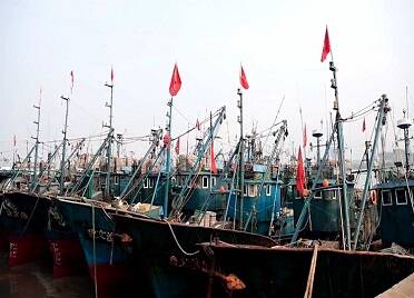 文登：渔船回港避风 应对强冷空气影响