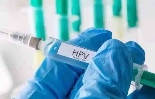 以帮忙预约“九价HPV”疫苗为幌子 男子诈骗50多名女性20余万元