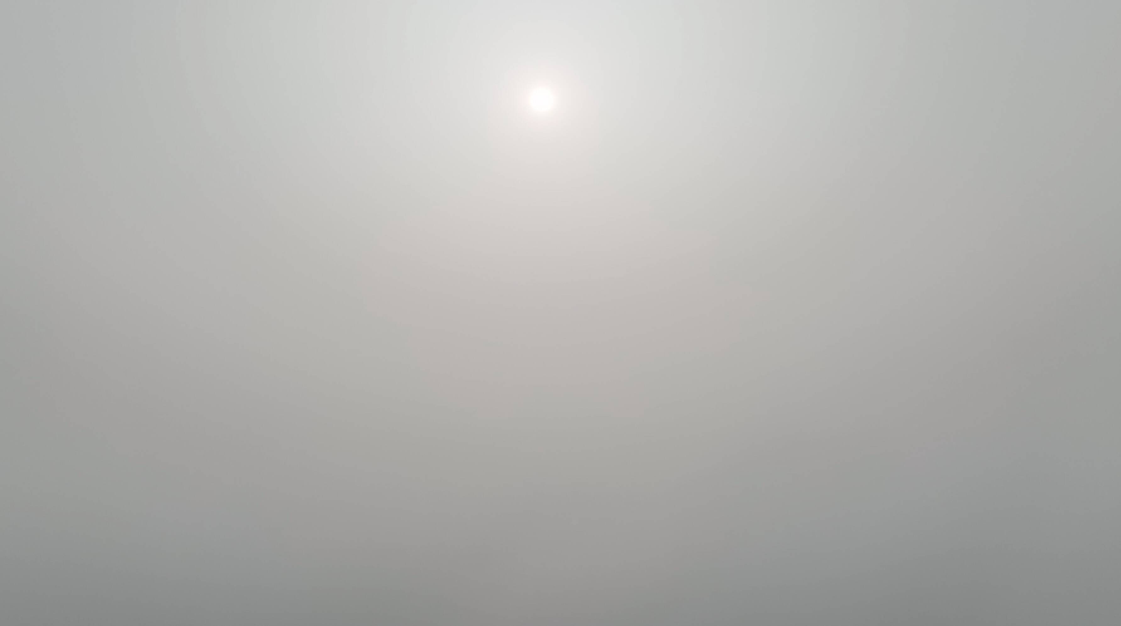 夏津能见度仅10米！山东继续发布大雾橙色预警 37地现特强浓雾