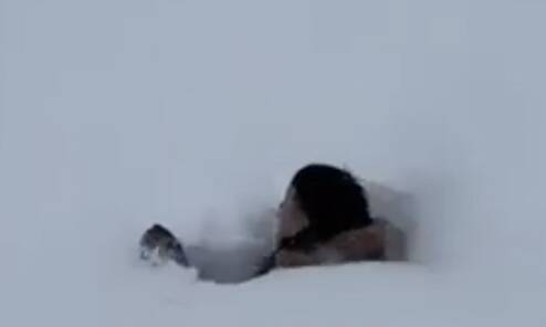 北方的雪有多厚？1米8小伙跳雪里直接消失