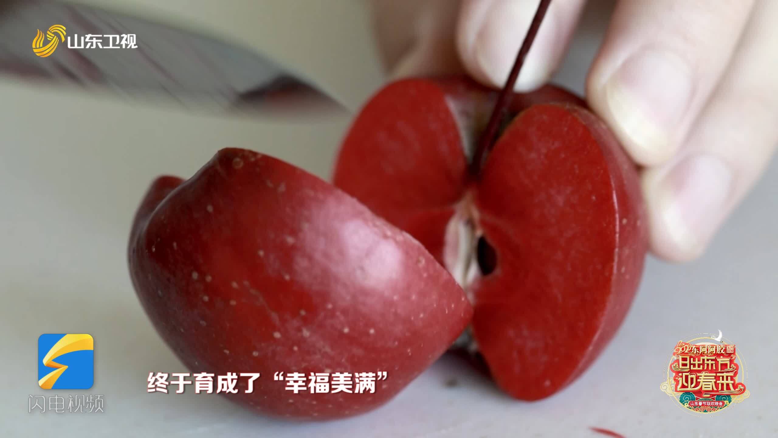 “幸福美满”填补中国红肉苹果空白 山东春晚现场分享16年培育历程