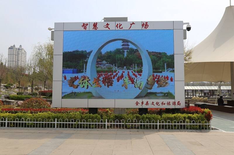 金乡县公共文化服务体系建设案例获山东省命名和推广