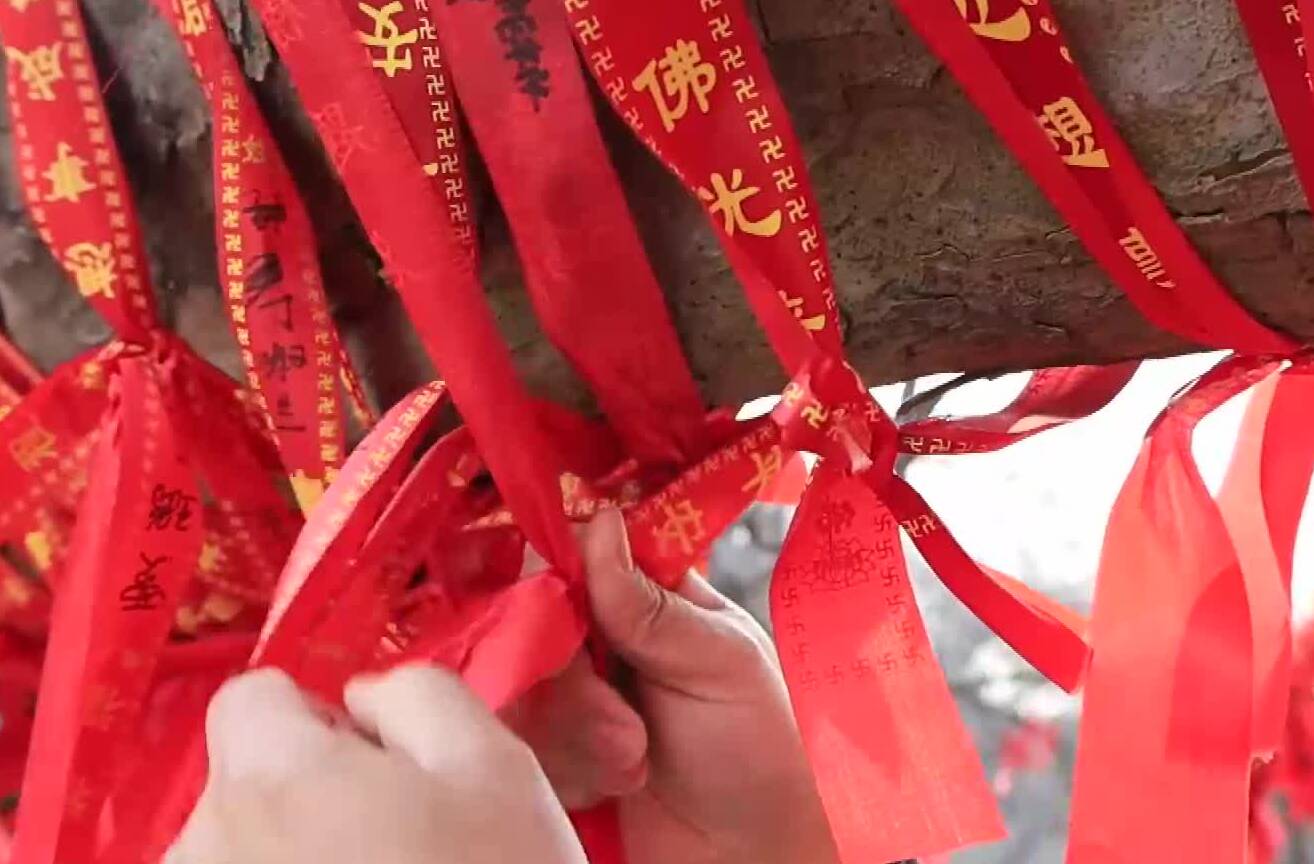 枣庄峄城春节旅游劲吹文明风