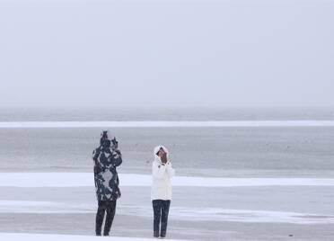 威海下雪啦！市民游客寻赏雪景 共享雪趣
