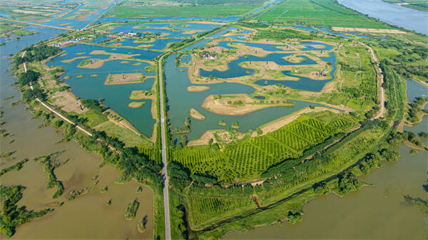 黄河入海处 湿地景如画——东营扎实推进湿地保护生态修复工作综述