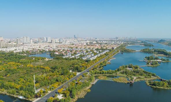 湿地，让城市生活更美好——东营市扎实推进湿地城市建设工作综述