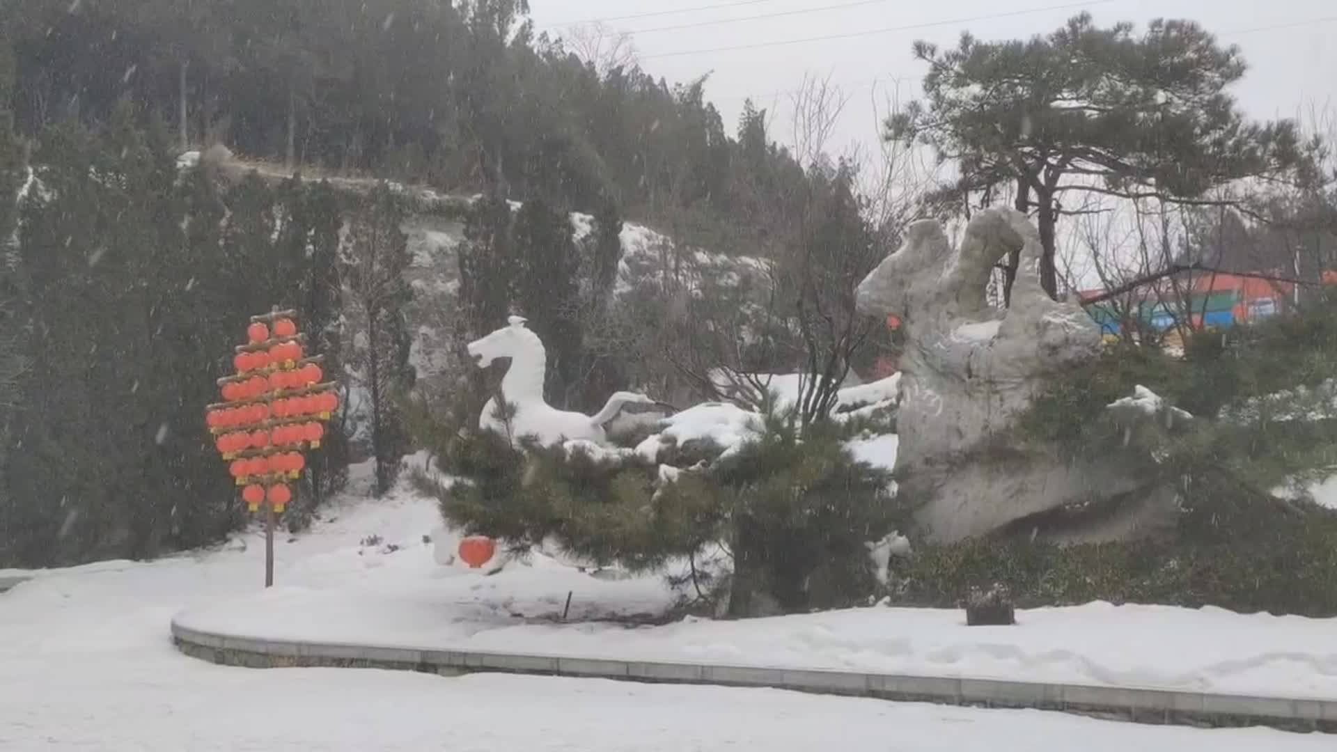 下雪啦！濟南多地降下零星小雪 市區(qū)中午前后也將出現(xiàn)小雪