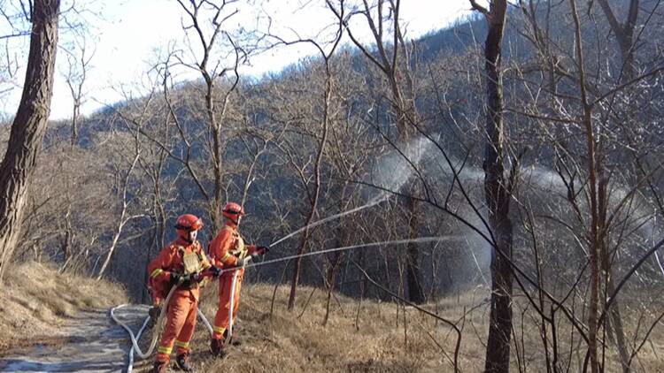 滨州：举行森林火灾灭火救援拉动演练 有效提升森林消防队伍应急处置水平